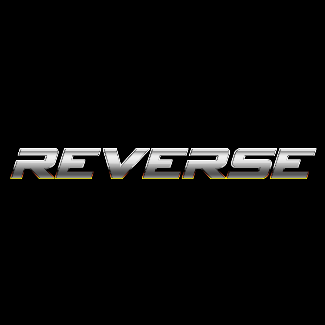 REVERSEPARTY.CL